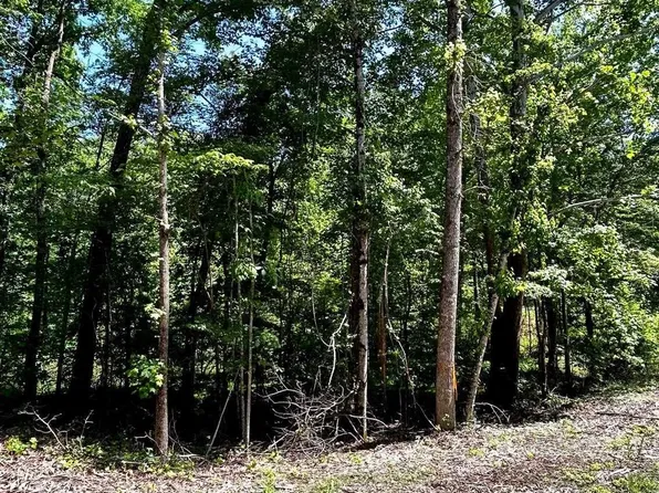 1208 Redwood Dr, Saulsbury, TN 38067