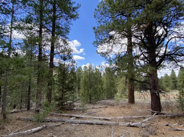 10 Elk Meadows Dr, Duck Creek Village, UT 84762