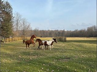 9300 N Main St, Windham, OH 44288