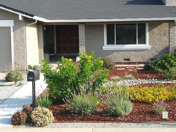 Beautiful Flowering Garden