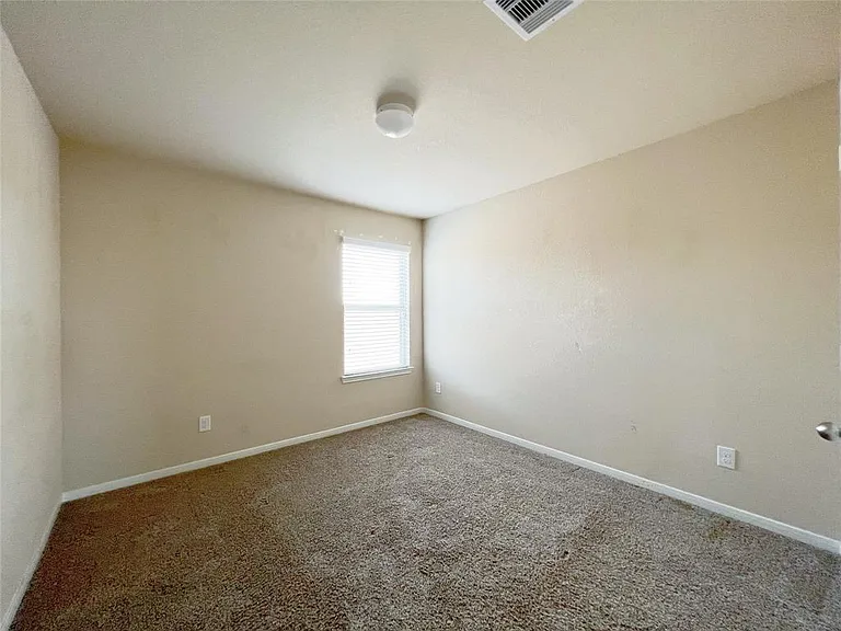 29043 Jacobs River Dr — Photo 20