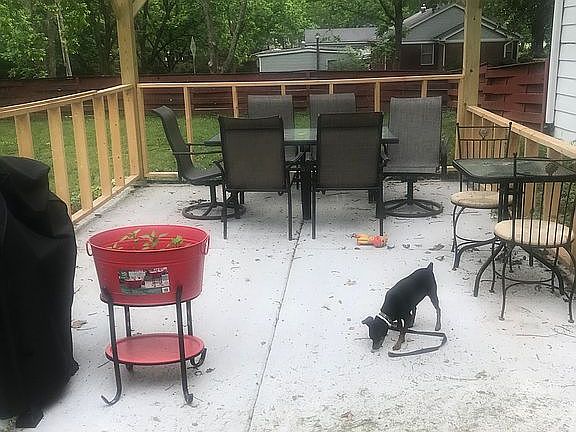 Back patio with a pergola