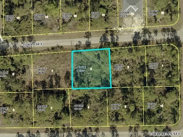 1128 Cora Cir E, Lehigh Acres, FL 33974