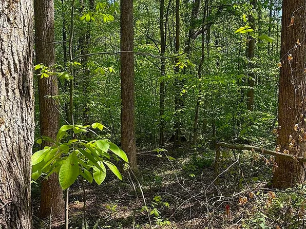 53.44 Sparks Rd, Columbia, KY 42728