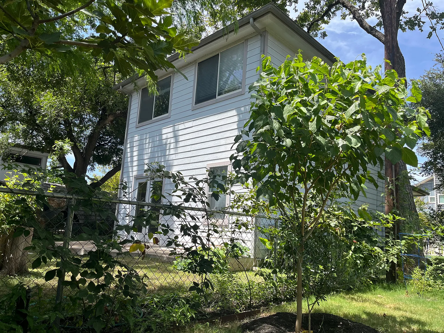 3 bed, 1.5 bath, 1050 sqft, $3,150 — Photo 4