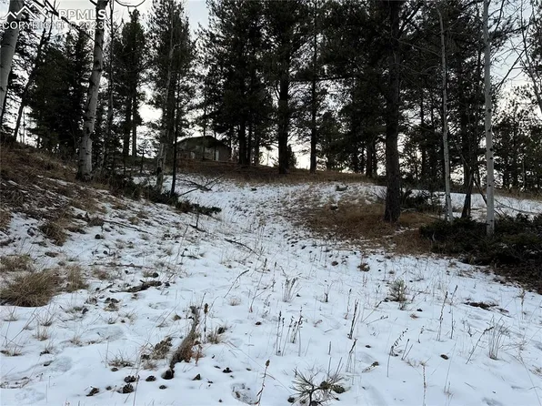 280 Hillside Dr, Florissant, CO 80816