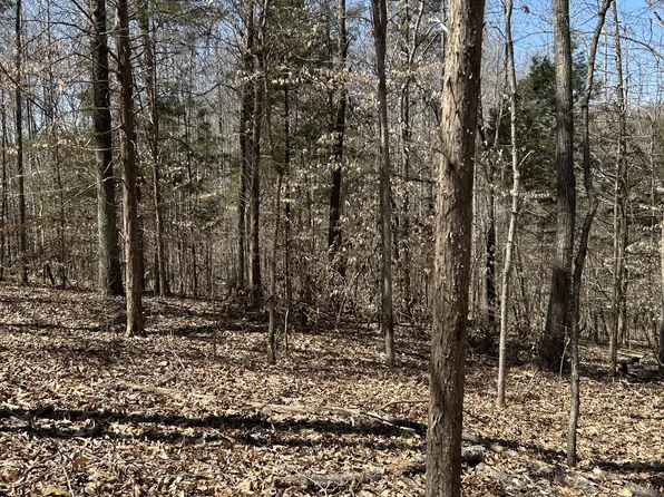 820 Lucas Rd Lot 1, Dickson, TN 37055