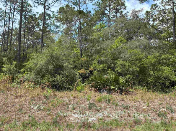50 Whiteford Way, Panacea, FL 32346