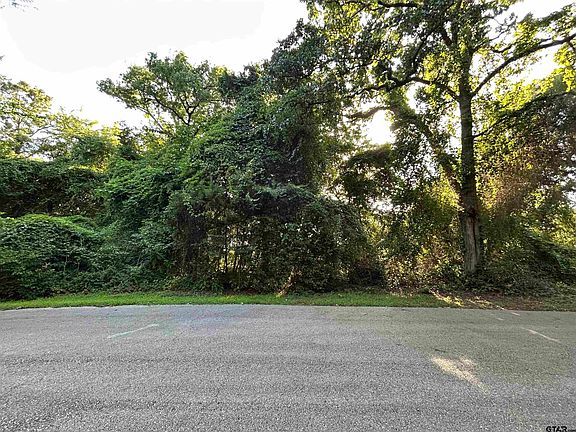 4th image of 0 Lookout Lake Cir