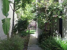 Path to backyard