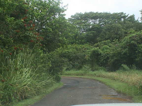 3rd image of 0 Lower Ulumalu Hana Hwy