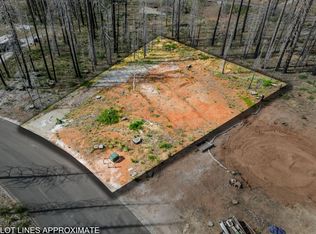 5164 Golden Aspen Dr, Grizzly Flats, CA
