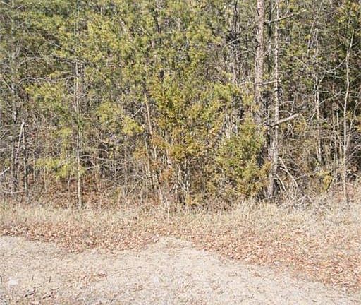 2nd image of 0 Talc Mine Rd Lot 38