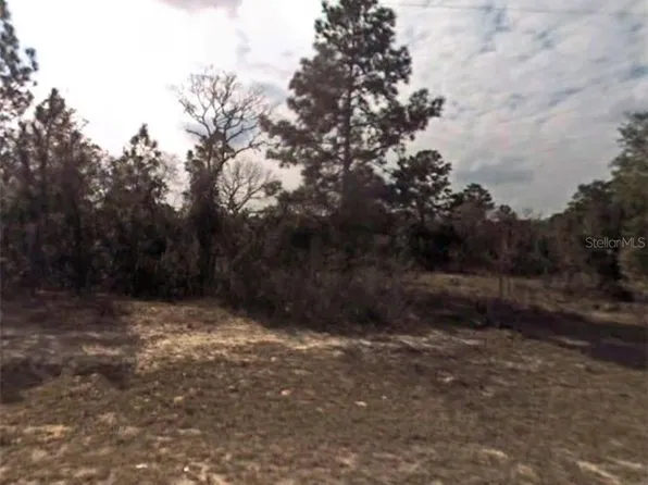 9810 N Stafford Dr, Citrus Springs, FL 34433