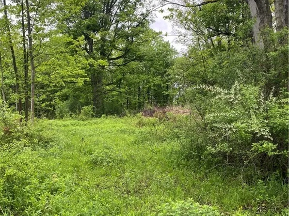 Seymour Ln #1, Westmoreland, NY 13490