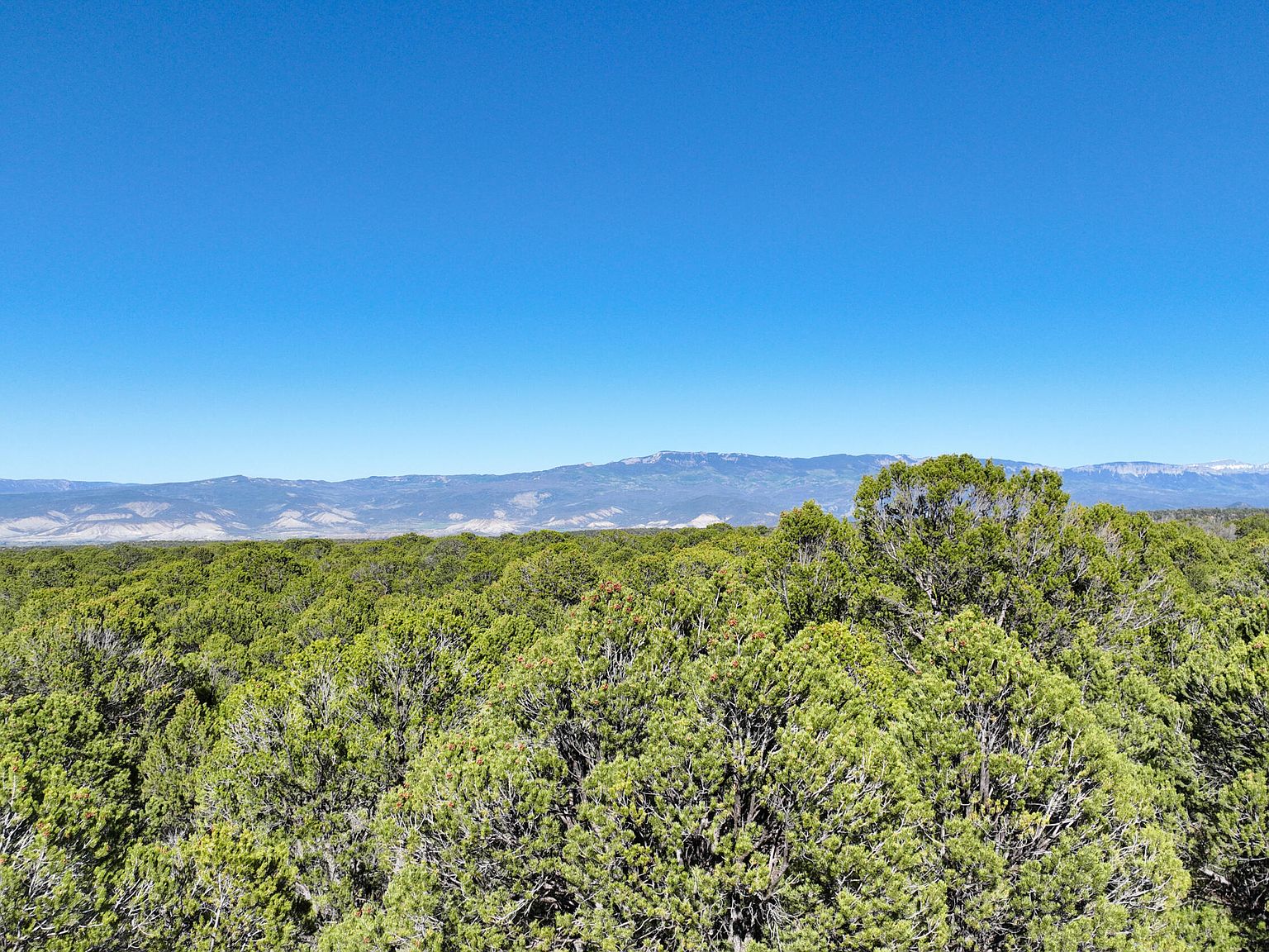 Tbd Bible Camp Rd, Montrose, CO 81403 | MLS #42674 | Zillow