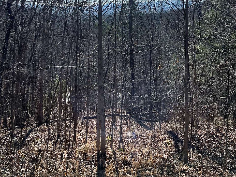 2nd image of 2 Game Bird Ln