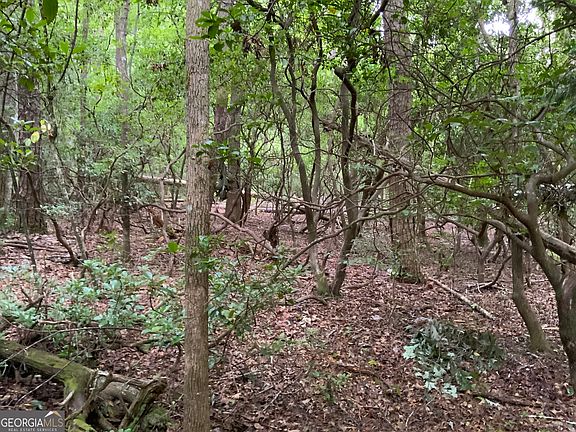 4th image of 0 Wheeler Ridge Dr