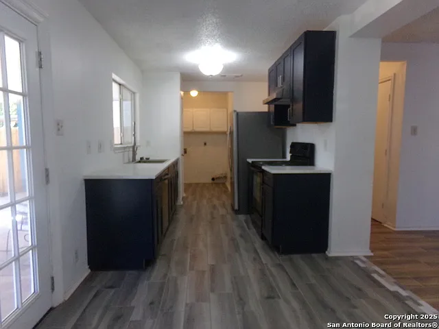 2422 Buffalo Pass Dr — Photo 6