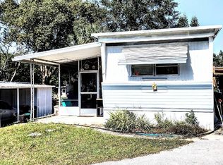 87 L Ray Ct, Mount Dora, FL 32757
