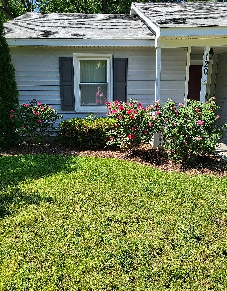 3 bed, 1219 sqft, $1,600 — Photo 2