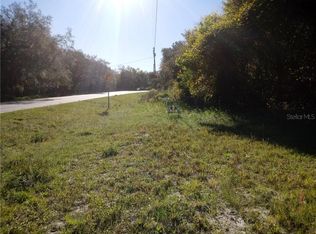 35002 Twin Lakes Blvd, Leesburg, FL 34788