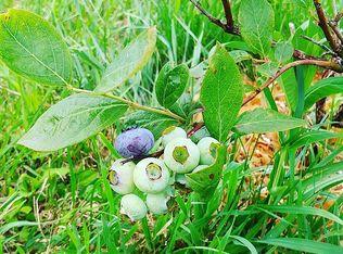 9627 Williams Rd, North East, PA 16428