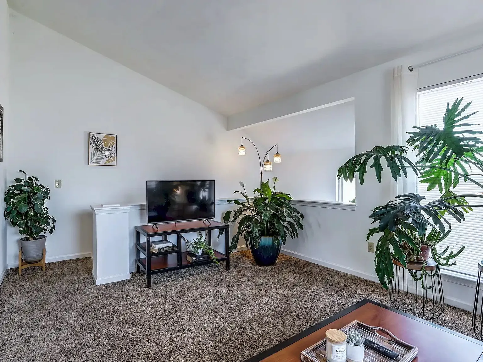 The Fox Townhomes — Photo 3