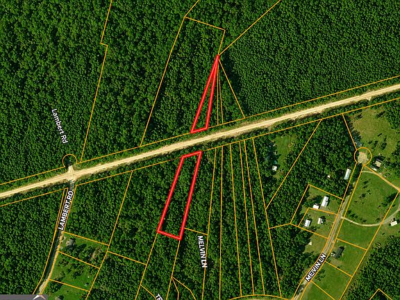 2nd image of Holmestown Loop Rd