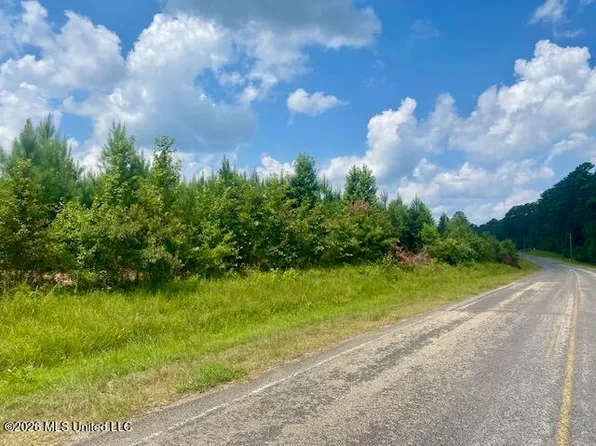 County Line Rd, Summit, MS 39666