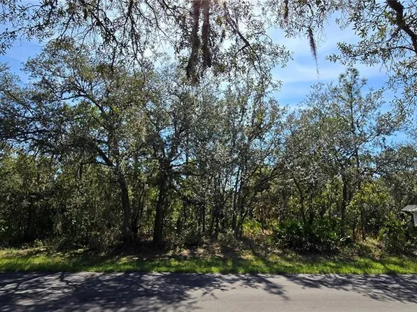 1 Buckeye Ct Lot 42, Homosassa, FL 34446