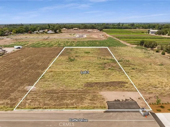 33 Cattle Drive Ct, Chico, CA 95973