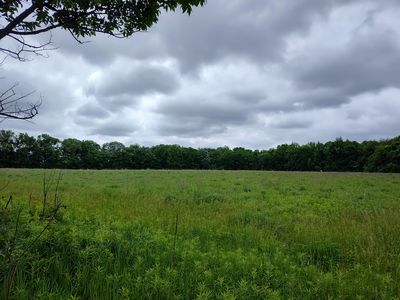 E Division St, Sherwood, MI, 49089