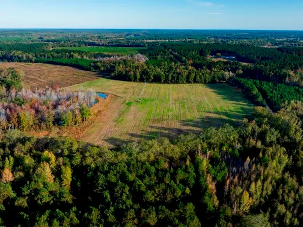 0 Water Oak Rd Tract 1, Sylvania, GA 30467