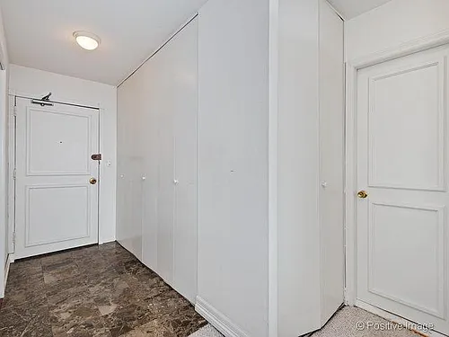 1355 N Sandburg Ter #2307 Photo 1