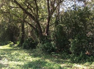 Treiman Blvd, Webster, FL 33597