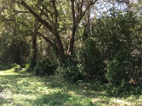 Treiman Blvd, Webster, FL 33597