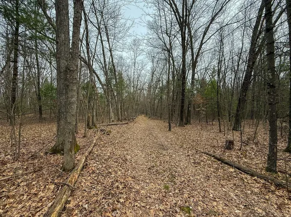 S Cottonwood Ave, Howard City, MI 49329