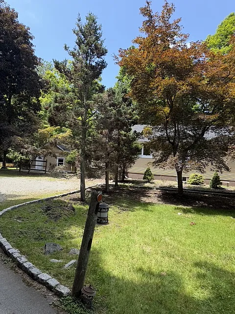 4 bed, 1160 sqft, $5,500 — Photo 2