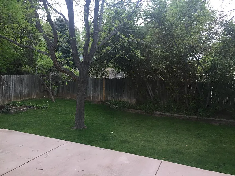 413 Larkbunting Dr — Photo 2