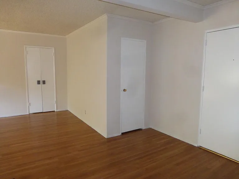Front door and coat closet dining room