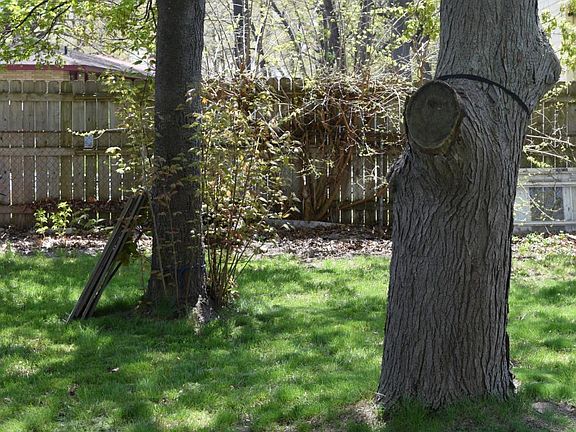 4th image of 1391 Eastwood Dr