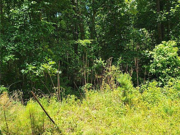 2nd image of 0 Spring Hill Dr