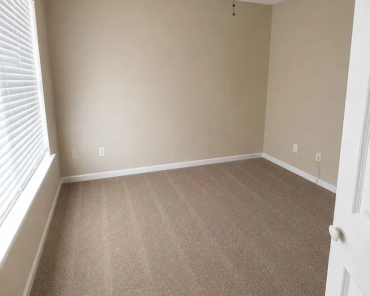 364 Carmen Rocio Way — Photo 9