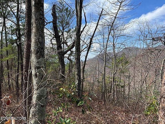 5th image of 0 Chestnut Ridge Ct Lot 10-11