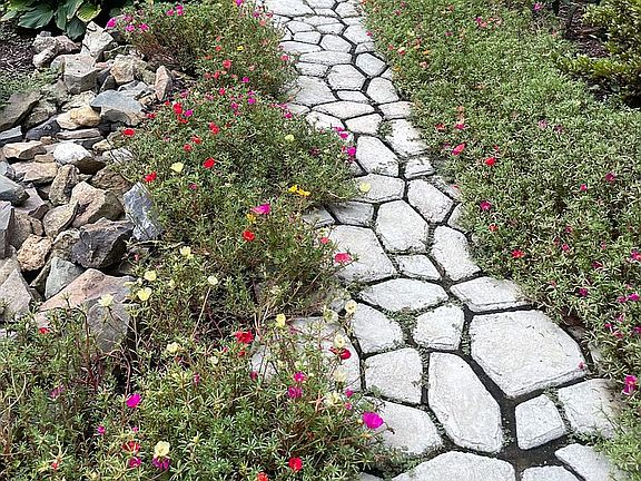 Front Walkway