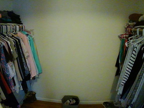 Bedroom #2 (Walk in closet)