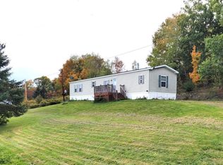 167 Puckerville Rd, Bainbridge, NY 13733