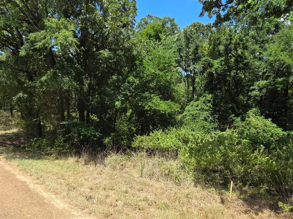 0 Hickory St Lot 90, Mabank, TX 75156