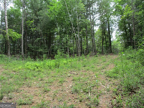 3rd image of 2 E New Hope Rd